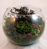 Partridge Berry Bowl Terrarium