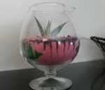 Sand Terrarium