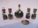 Tiny Glass Bottle Terrariums 