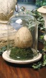 Tuscan bell jar terrarium