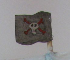 Pirate Flag