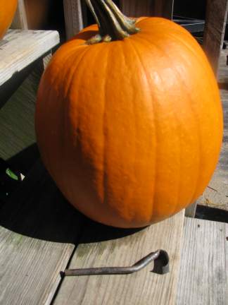 Pumpkin and tools