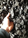 Anthracite coal