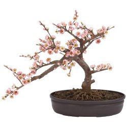 Nearly Natural 4122 Bonsai Decorative Silk Plant Collection