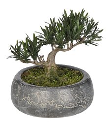 Artificial Podocarpus Bonsai in Grey Stone Bowl 