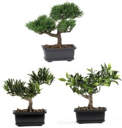 Artificial Podocarpus Bonsai in Grey Stone Bowl