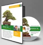 Bonsai 101: An Introduction to Bonsai 