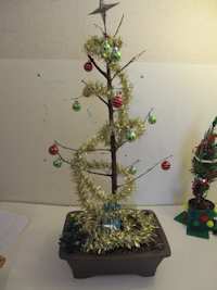 a Bonsai Christmas tree