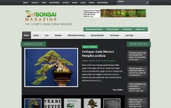 ofBonsai online magazine