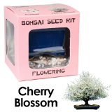 Bonsai Seed Kit