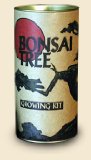 Bonsai tree growing kit