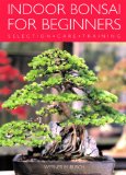 Indoor Bonsai for Beginners