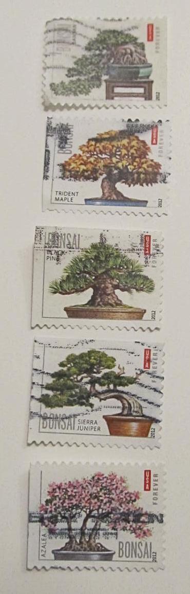 Picture of the set of bonsai stamps