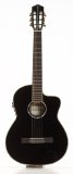Cordoba Fusion Guitar