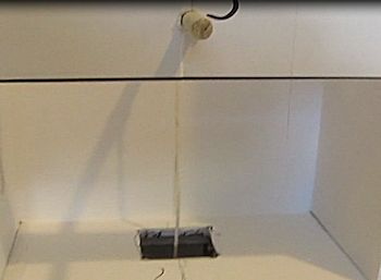 The string through the hole