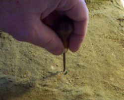 Punch a hole in the diorama surface