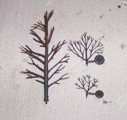 Tree Armatures