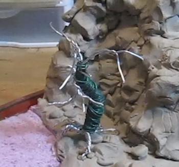 Shaping the tree