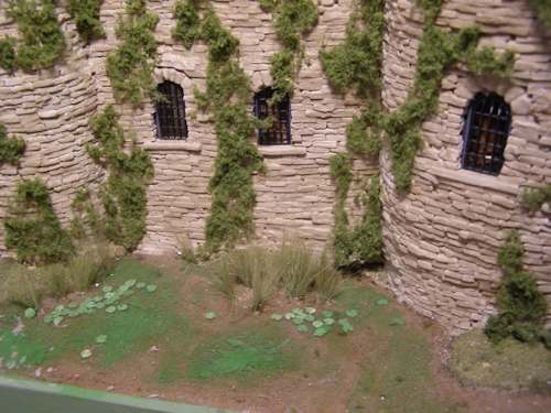 Castle with vines