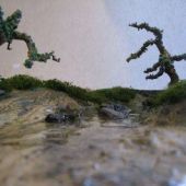 River Bed Diorama