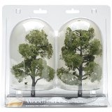 SUn kissed miniature trees