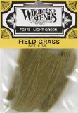 Field Grass