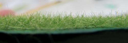 side view of the grass