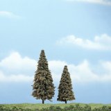 Trees