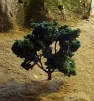 Miniature tree