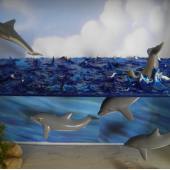 Dolphin Diorama