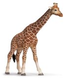 Schleich Giraffe