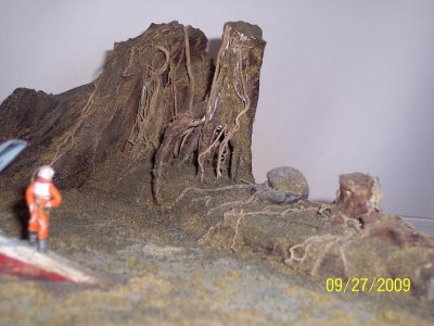 The terrain