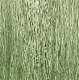 Woodland Scenics Diorama grass