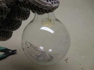 Junk in bulb