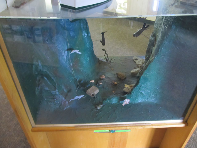 Underwater in the diorama