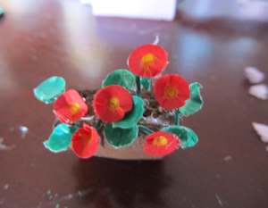 Red Flowers in a pot