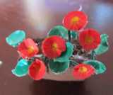 Miniature flowers