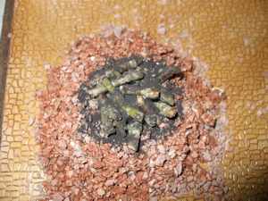 Use of weathering powders