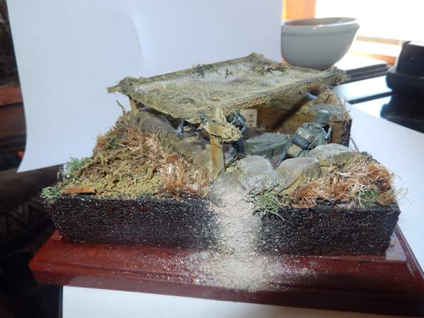 The completed diorama with canopy