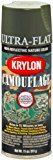 Krylon Spray Paint