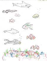 The sheet of fish