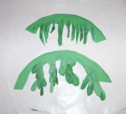 seaweed