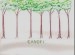 Canopy Layer
