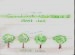 Shrub and Ground Layers