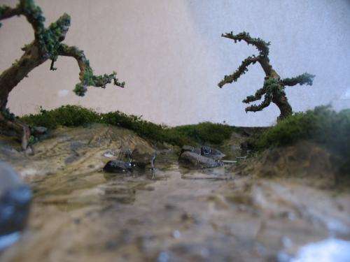 The diorama