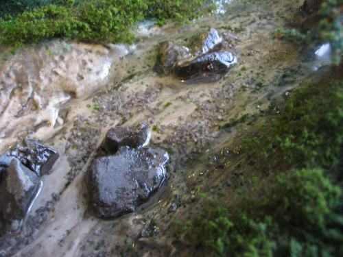 Rocks in the water