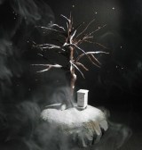The changing tree diorama