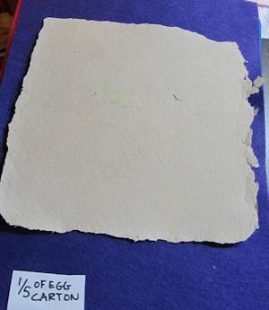 Egg carton paper