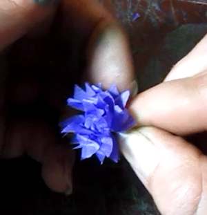 Shape the flower