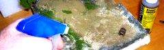 How to make a diorama